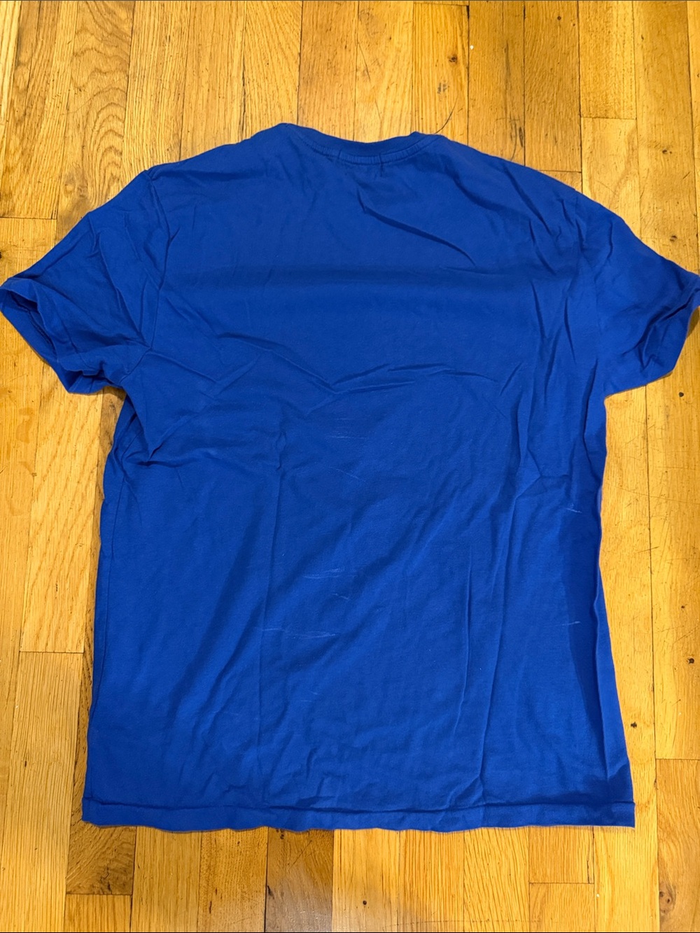 Polo by Ralph Lauren Royal Blue Polo Bear Ski Graphic Tee - Picture 4 of 4